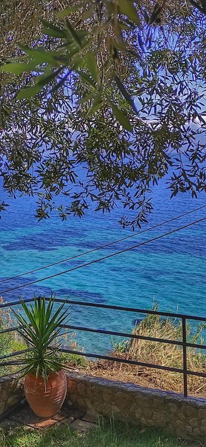 Villa Fourtuna Apartment Agios Ioannis Peristerion Exterior photo