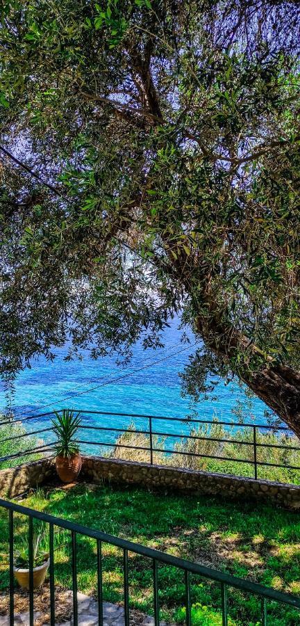 Villa Fourtuna Apartment Agios Ioannis Peristerion Exterior photo