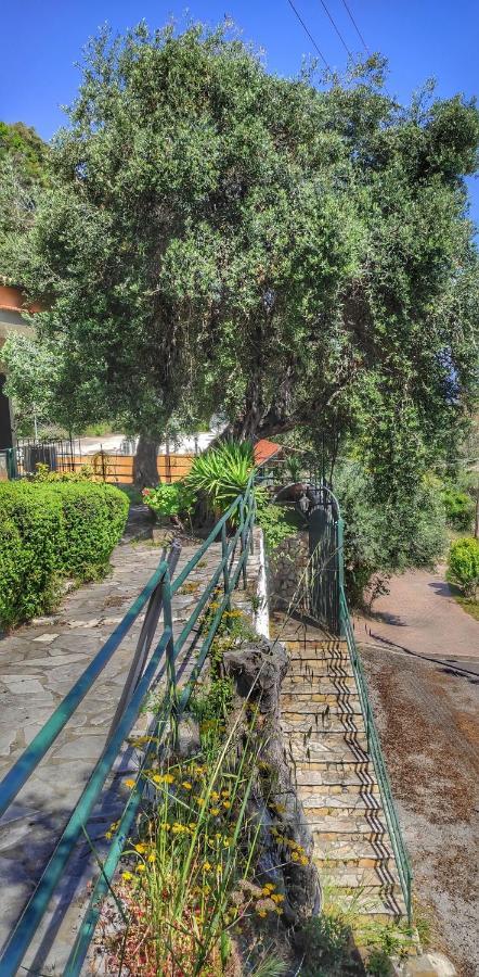 Villa Fourtuna Apartment Agios Ioannis Peristerion Exterior photo
