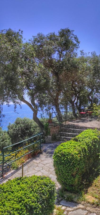 Villa Fourtuna Apartment Agios Ioannis Peristerion Exterior photo