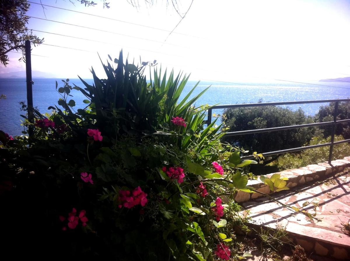 Villa Fourtuna Apartment Agios Ioannis Peristerion Exterior photo