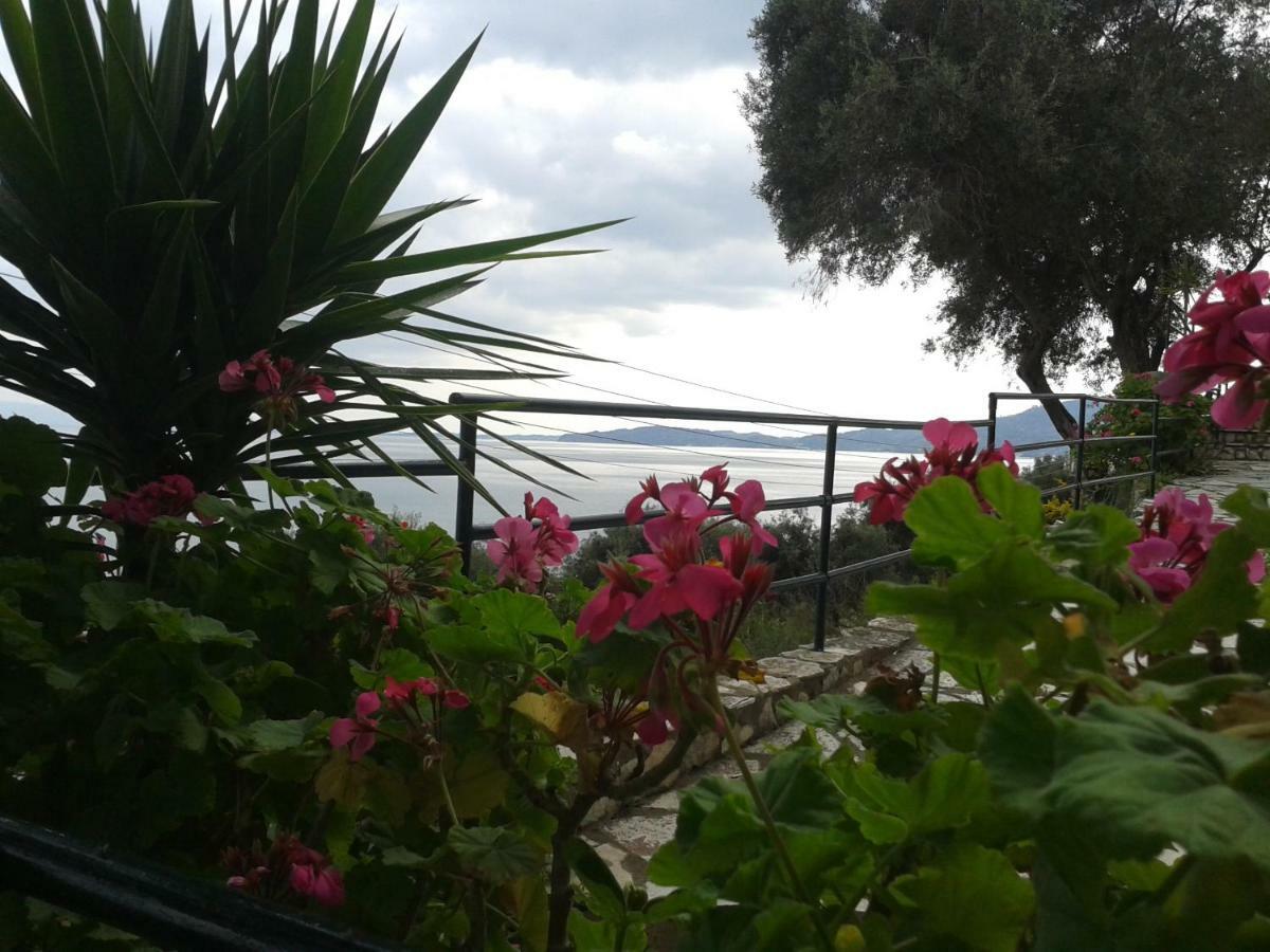 Villa Fourtuna Apartment Agios Ioannis Peristerion Exterior photo