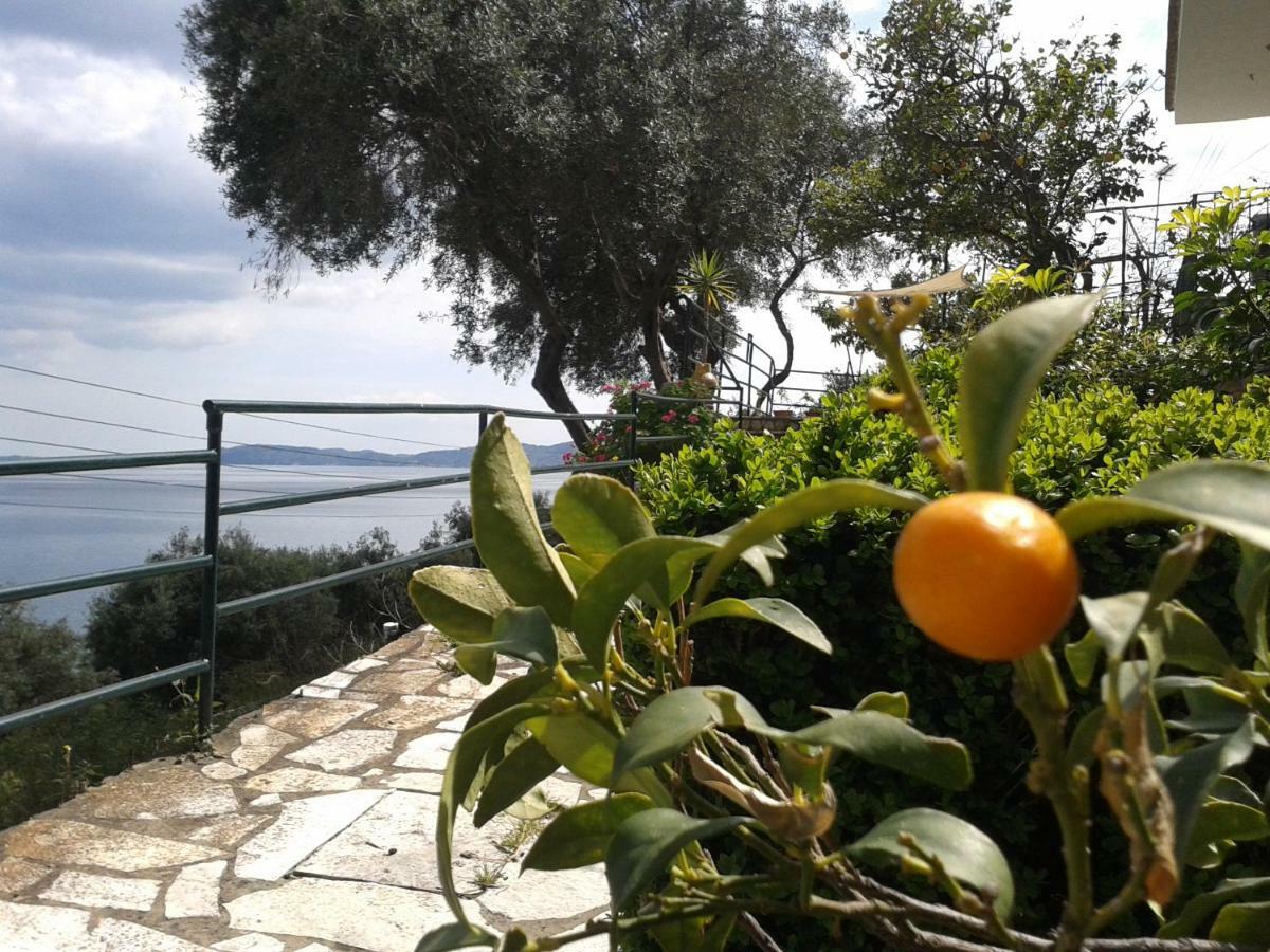 Villa Fourtuna Apartment Agios Ioannis Peristerion Exterior photo